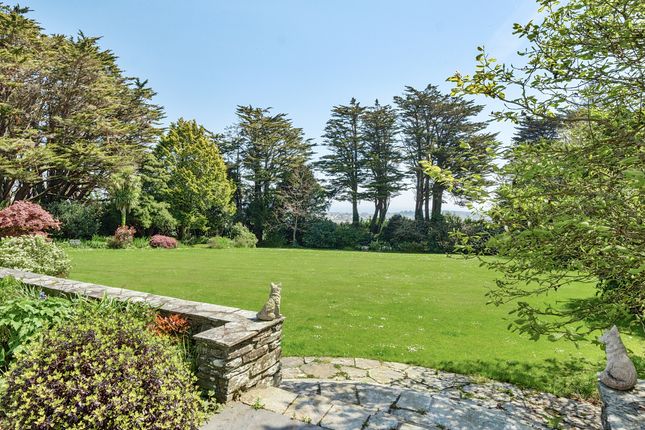 Trewen, Falmouth photo 2
