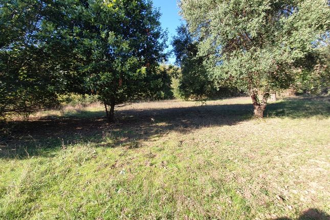Country house for sale in Cortes, Alvares, Góis, Coimbra, Central Portugal