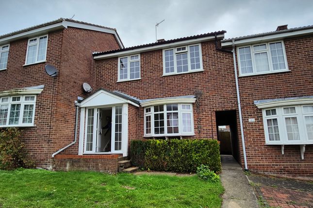 Terraced house to rent in Magnolia Drive, Colchester