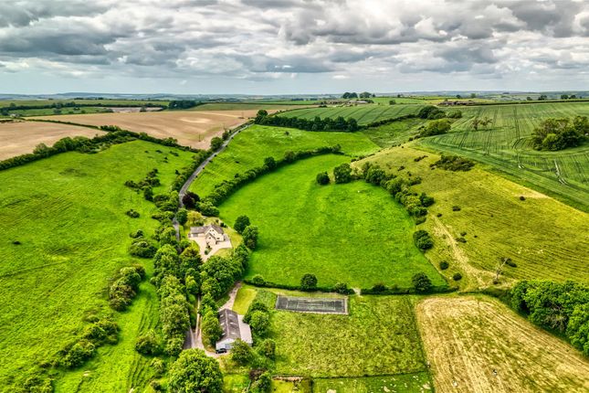 Dji_20240611115747_0616_D_Hdr.Jpg