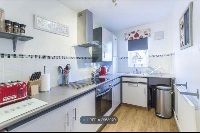 Comfrey Close, Heatherton Village, Littleover, Derby photo 3