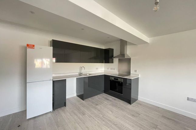 Copenhagen Flat 3  Kitchen.Jpg