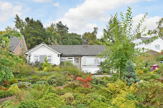 Thumbnail Detached bungalow for sale in Valley Road, Barlow, Dronfield, Derbyshire