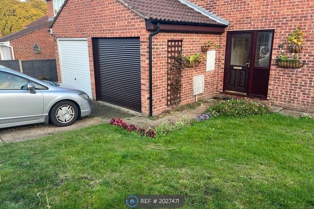 Detached house to rent in Maryborough Grove, Colchester CO2