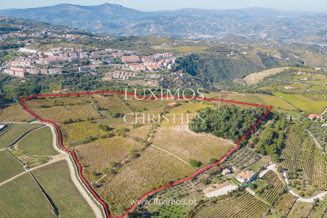 Thumbnail Farm for sale in Lamego (Almacave E Sé), 5100 Lamego, Portugal