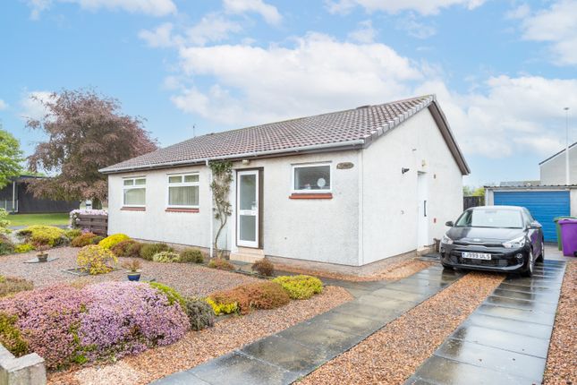Thumbnail Bungalow for sale in Ravensby Park Gardens, Dundee