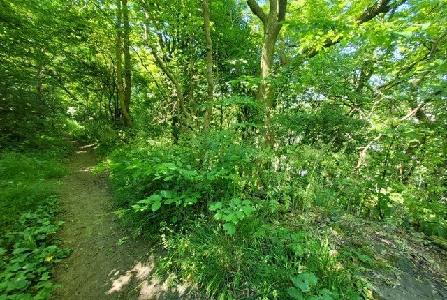Land for sale in Edale Avenue, Newsome, Huddersfield
