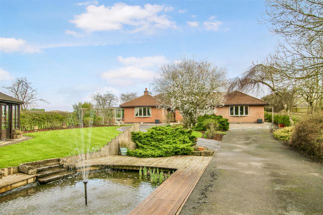 Thumbnail Detached bungalow for sale in Woodhouse Road, Norwell, Newark