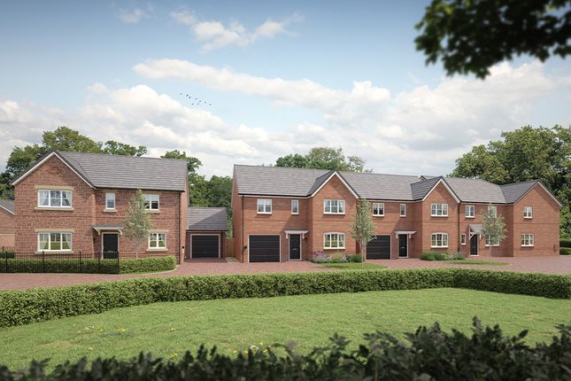 Dene Road, Cotford St Luke photo 2