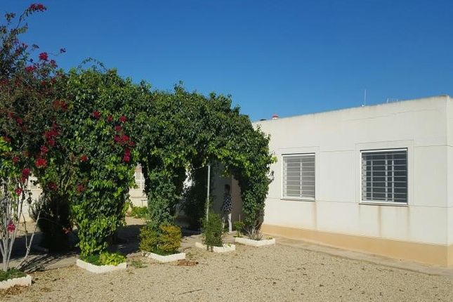 Thumbnail Country house for sale in 04100 Níjar, Almería, Spain