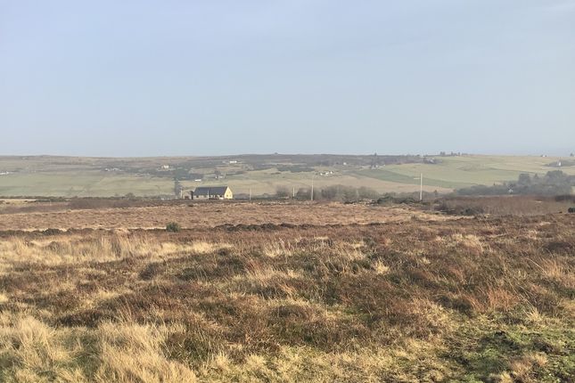 The Croft, Upper Smerral, Latheron photo 5