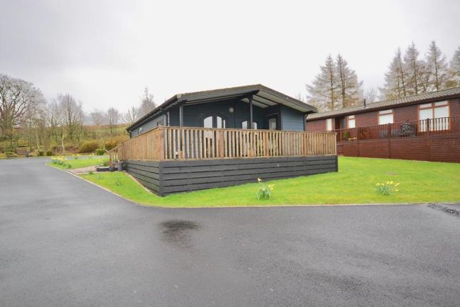 Thumbnail Mobile/park home for sale in Lodge 17, Riverview Holiday Park Mangerton Newcastleton