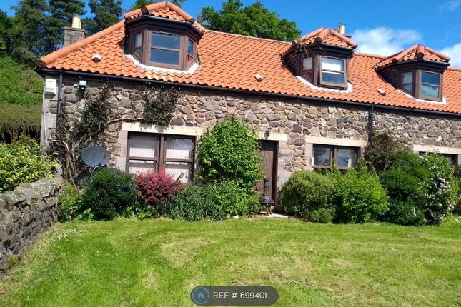 Homes To Let In Kirkcaldy Rent Property In Kirkcaldy