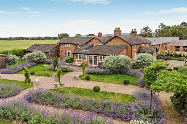 Somerwood Stud,, Rodington, Shropshire photo 4