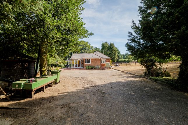 12 Drymere, Beachamwell Road, Norfolk photo 4