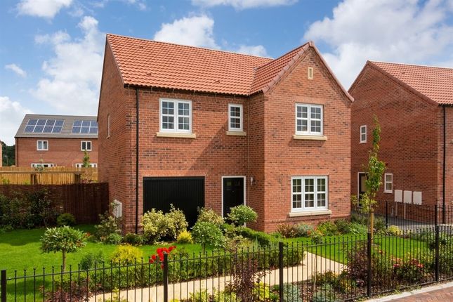 Thumbnail Detached house for sale in "The Mapleford" at Partridge Road, Easingwold, York