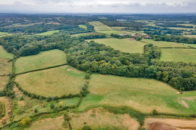 Thumbnail Land for sale in Buckholt Lane, Bexhill-On-Sea, East Sussex