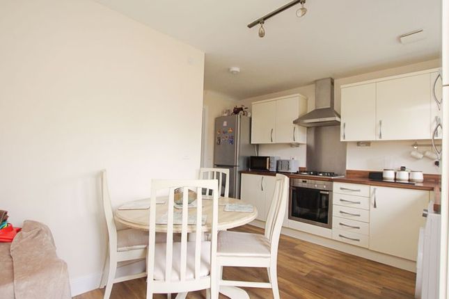 Kitchen View 2