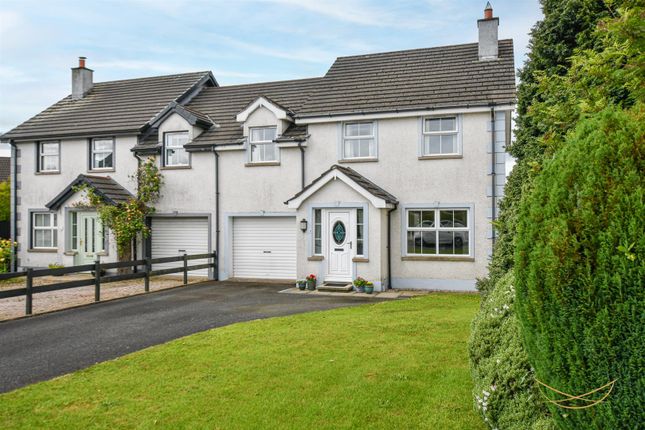 Thumbnail Link-detached house for sale in Merion Park, Ballyclare