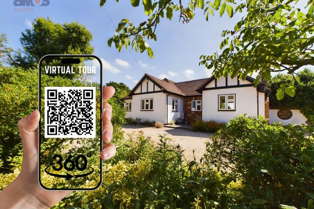 Thumbnail Detached bungalow for sale in Lark Hill Road, Canewdon, Rochford, Essex