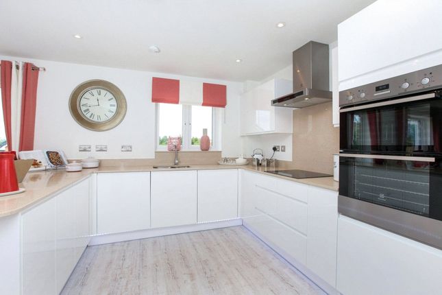 Plot 20, The Daisy, Little Orchard,, Tavistock, Devon photo 3