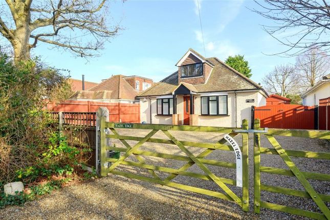 Detached house to rent in Scotts Grove Road, Chobham, Woking