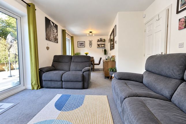 SHAFTESBURY photo 4
