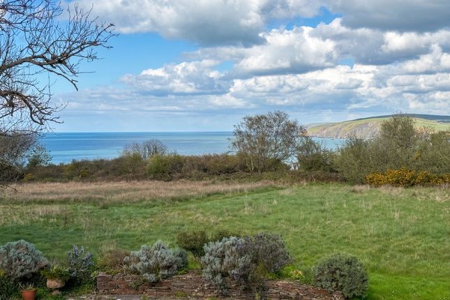 Soar Hill Farm Cwm-yr-Eglwys, Newport photo 3