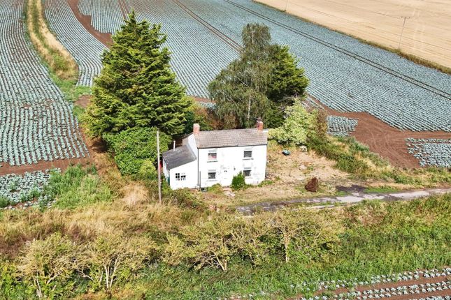Holly Cottage,, Littleside Road, Lincolnshire photo 3