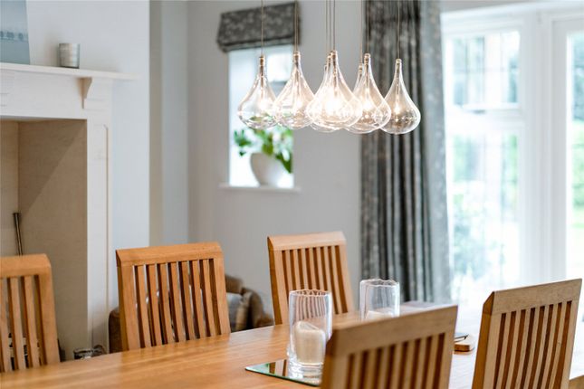 Homenovo Lighting Marden 6 Light Island Chandelier, Matte Black Homenovo Lighting Marden 6 Light Island Chandelier, Matte Black