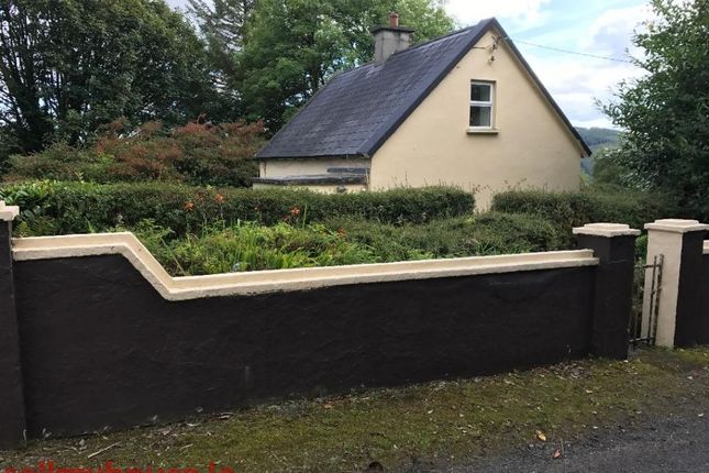 Property For Sale In North Tipperary Munster Ireland Zoopla