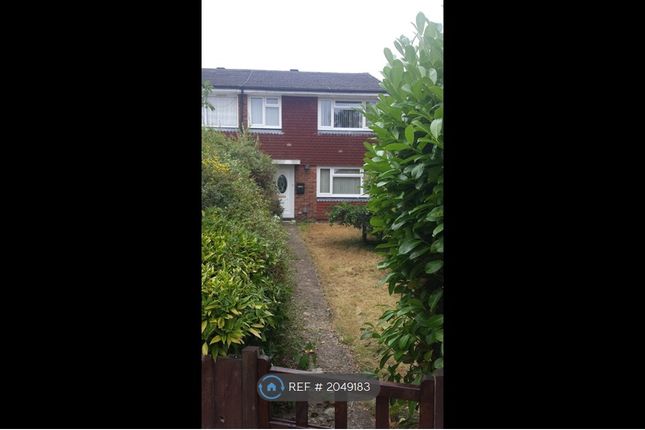 Semi-detached house to rent in Brougham Place, Farnham
