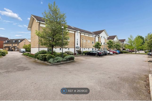 Eddington Crescent, Welwyn Garden City photo 3