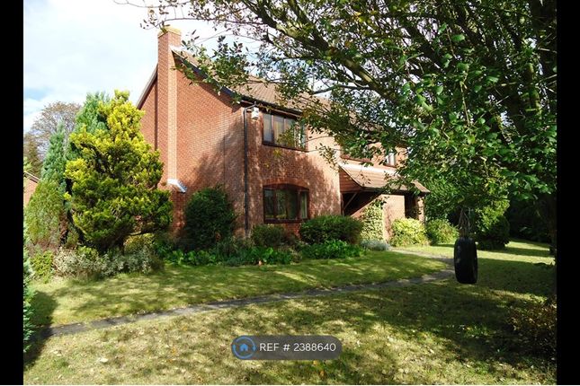 Executive Lodgings Available