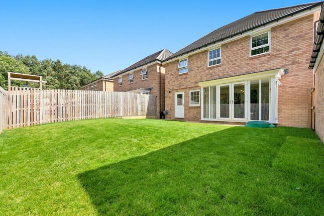 11 Birch Close, Sheffield photo 4