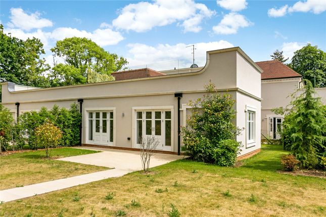 Thumbnail Bungalow for sale in London Road, Ascot