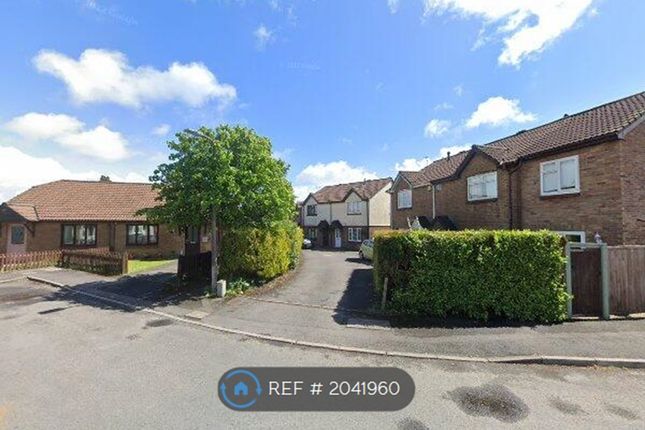 Thumbnail Semi-detached house to rent in Rosemary Close, Sketty, Swansea