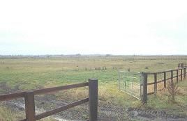 Land for sale in Langwood Hill Drove, Chatteris