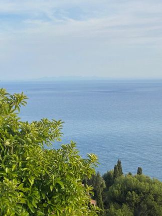 Thumbnail Land for sale in Eze, Villefranche, Cap Ferrat Area, French Riviera