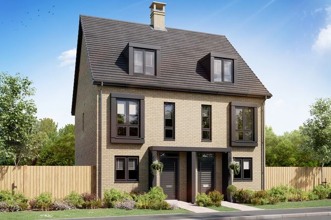 Thumbnail Semi-detached house for sale in "The Braunton" at Patmore Close, Bishop's Stortford