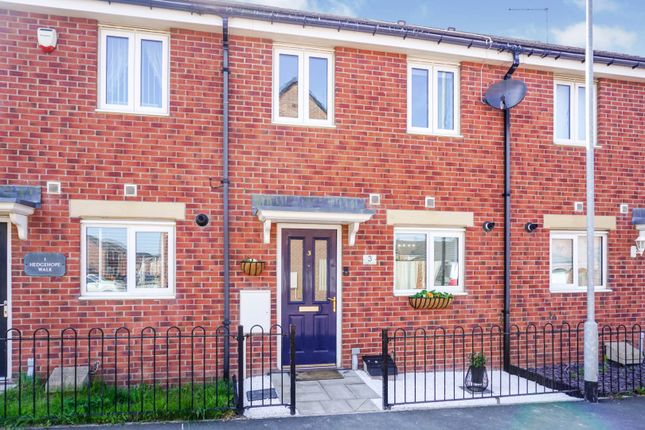 Thumbnail Terraced house for sale in Hedgehope Walk, Blyth