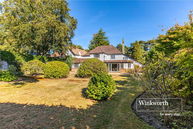 56, Golf Links Road, Dorset photo 4