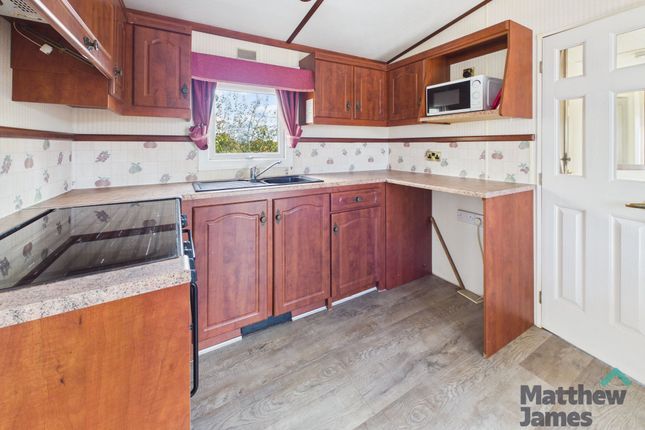 Caravan, Oliver Plants Production, Coggeshall photo 2