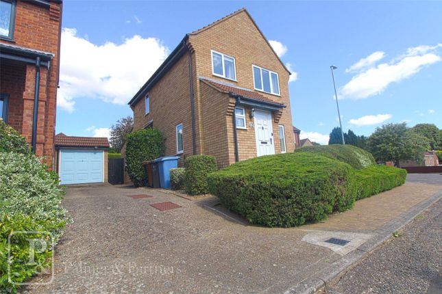 Thumbnail Detached house to rent in Rudlands, Ipswich, Suffolk