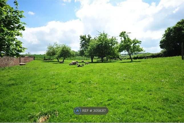 Knights Farm, Fitzhead, Fitzhead, Taunton photo 3