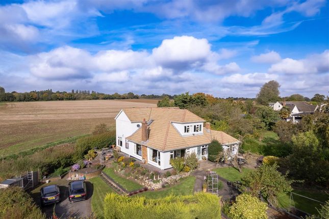 Pippins  Aerial  (1).Jpg