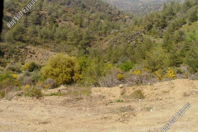 Land for sale in Dierona, Limassol, Cyprus