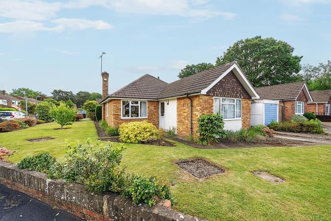 Thumbnail Detached bungalow for sale in Brookwood, Woking