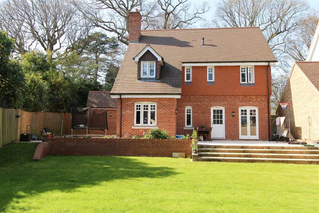 Detached house to rent in St. Pauls On The Green, Haywards Heath