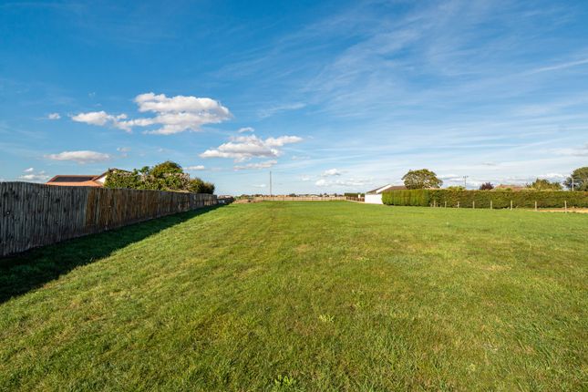 GLATTON KENNELS, 48 Quakers Drove, Whittlesey photo 4